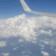 정직하게