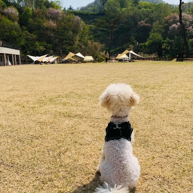 닉녬