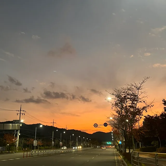 행복한당근이
