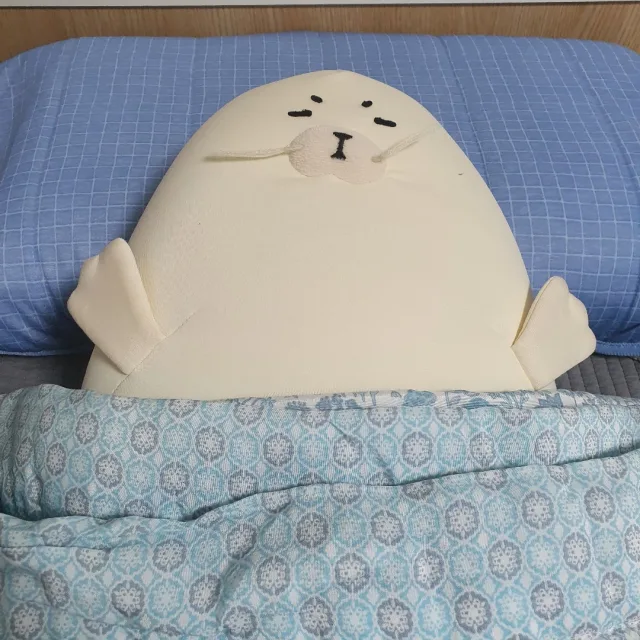 호야