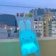 토끼당근찾기