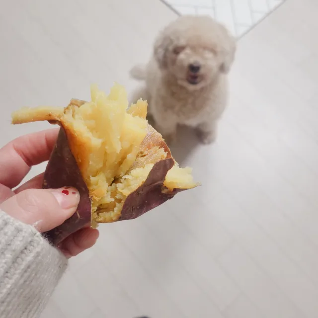 멍이