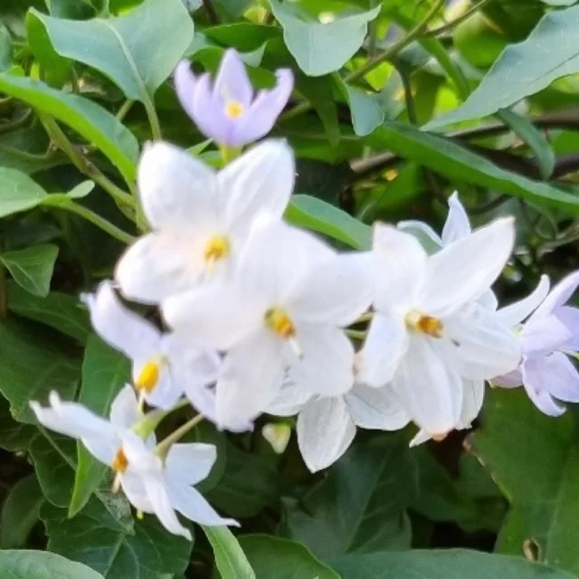웅천냠냠