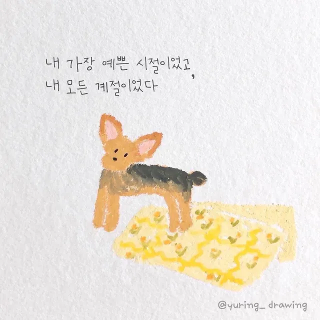 리본