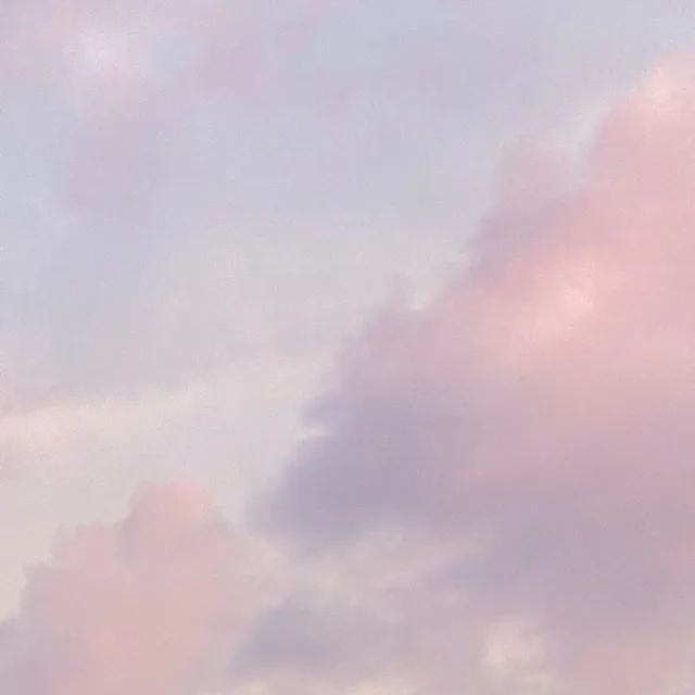 밍니