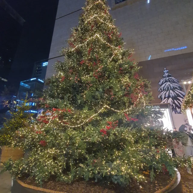 봉쥬르