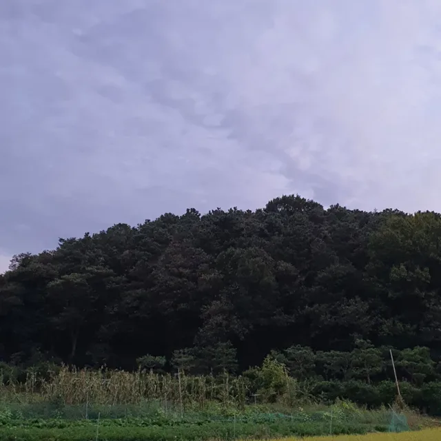 배성준