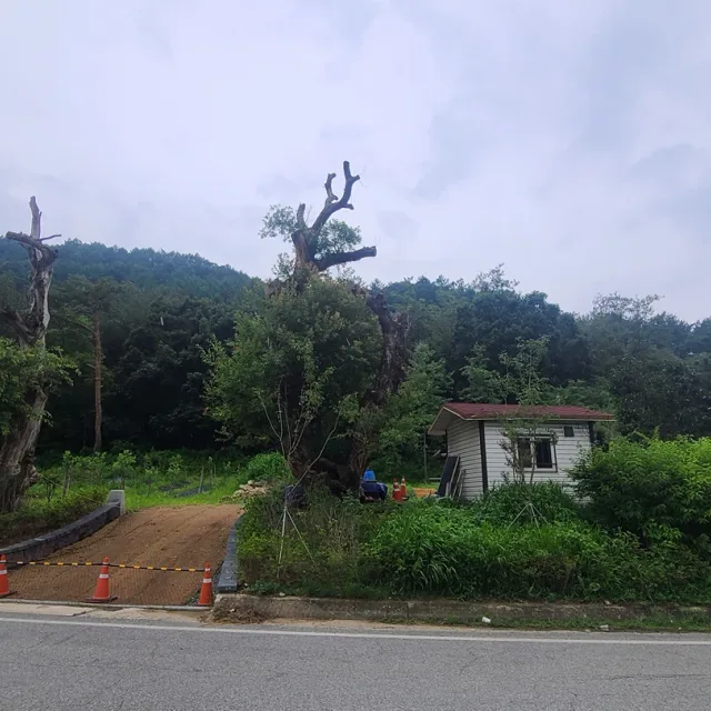 레인보우빌리지