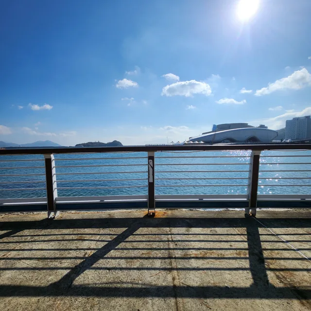 물개