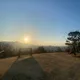 해피당근