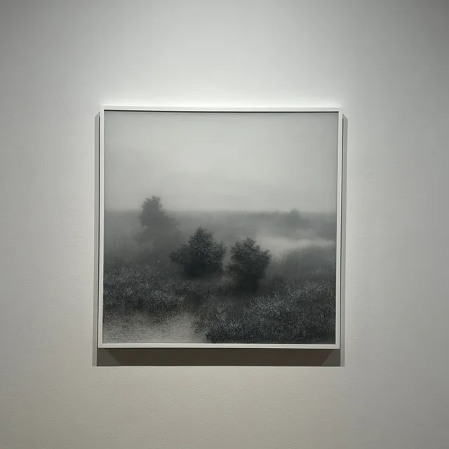 뚜비