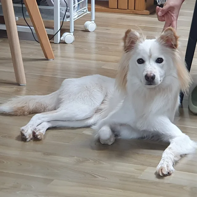김남도일이