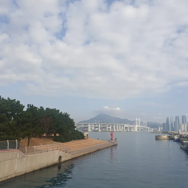당당당근