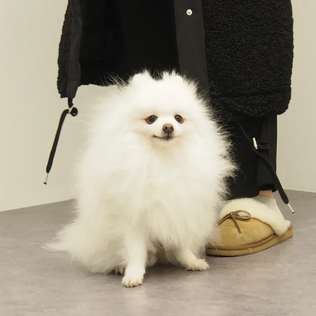뭉뭉치치