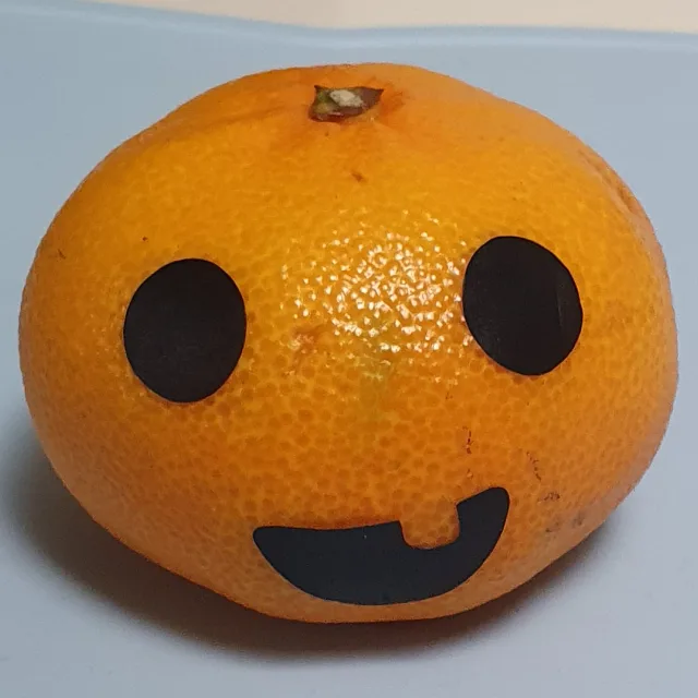 귤뀰