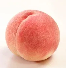 샤브