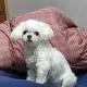 재이이이이이
