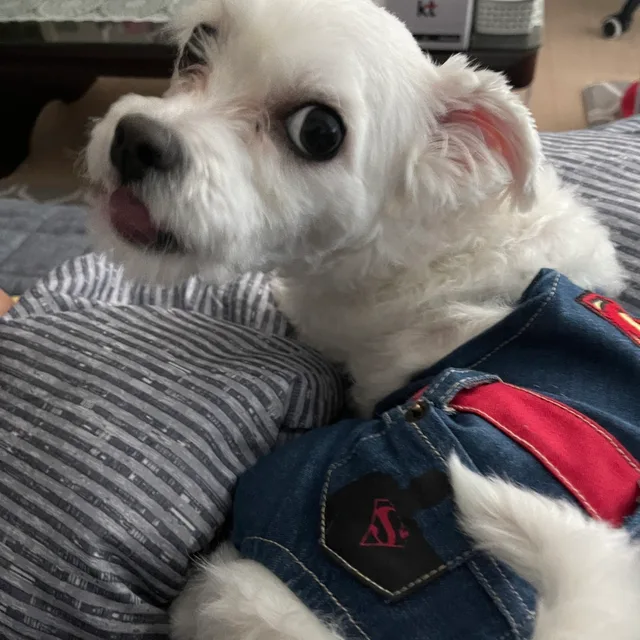 또또쓰
