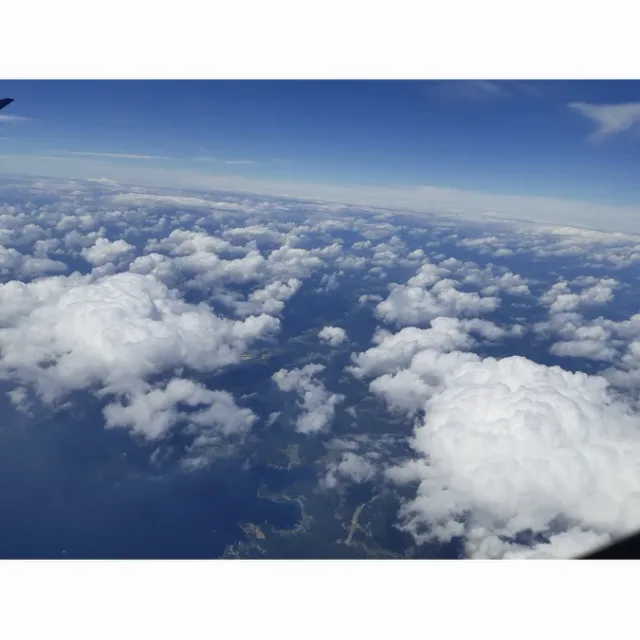 바다의남자
