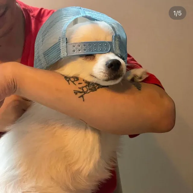 빵빵