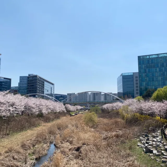으나빠