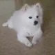 콩이