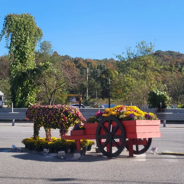 초패거리