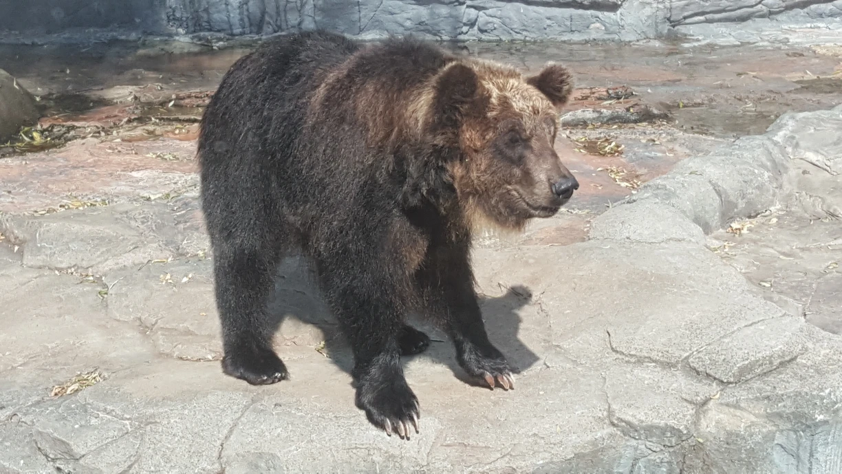 이모저모