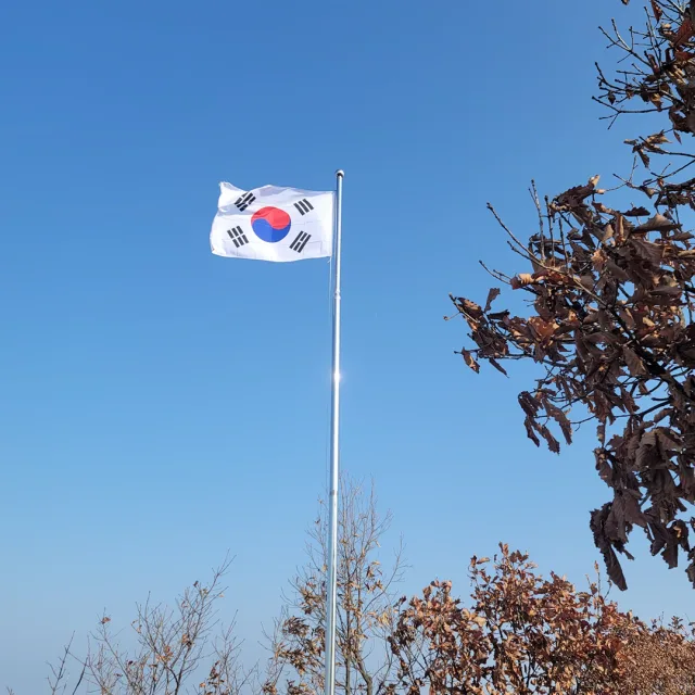 골리앗