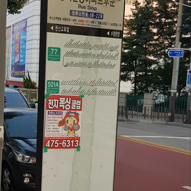 처음처럼