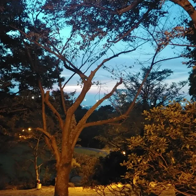 캉캉