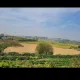 줌마