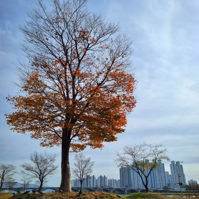 중구남외동