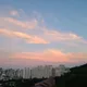 부엉이