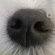 망미주부