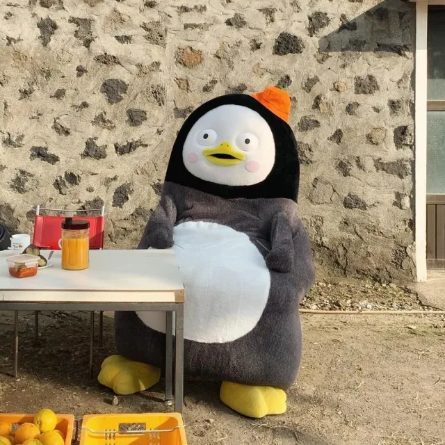 콘퀴스타도르