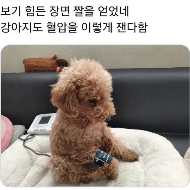 정직신뢰를바탕으로거래함
