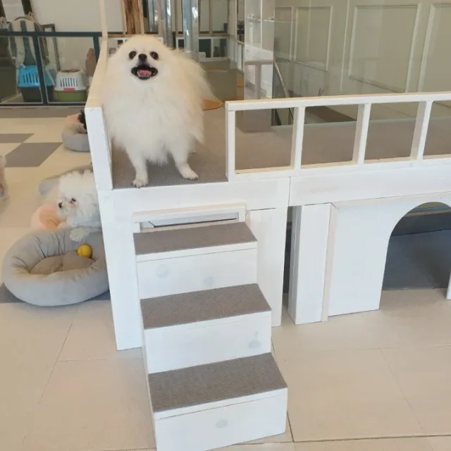 뭉치