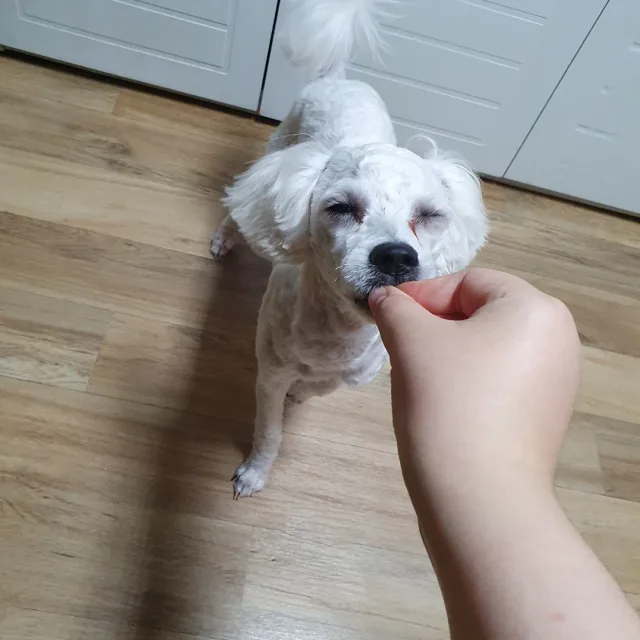 크림
