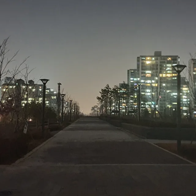 스퀘어드
