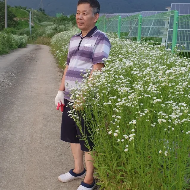 오래오