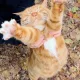 구름