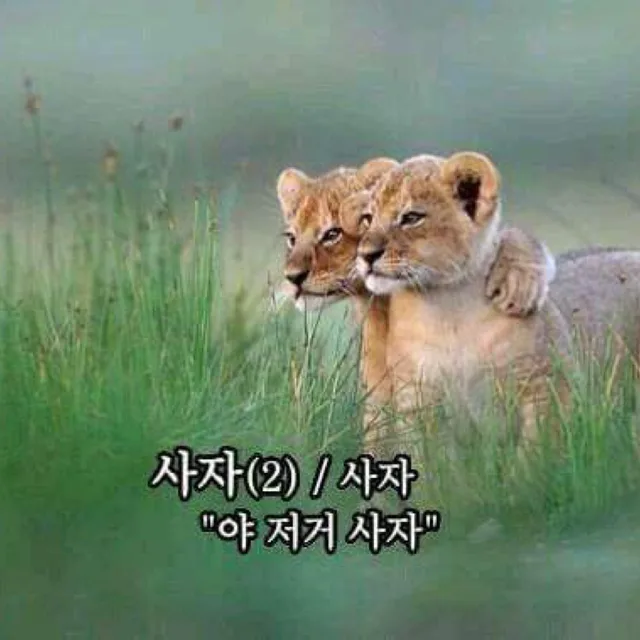 장하다