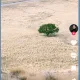 토리토리