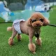 보리빠