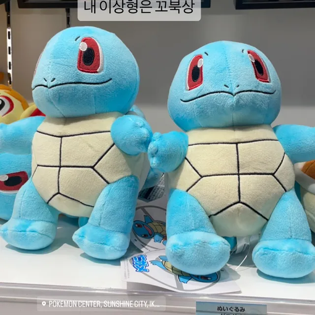 거북이사요