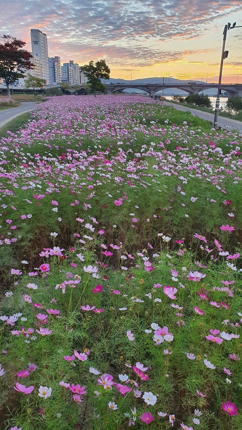 늘변함없이