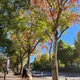 효1010
