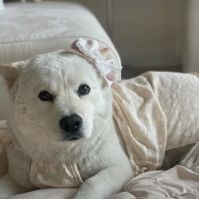 우앙
