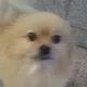 바니바니당근당근